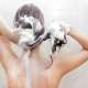 Waarom kwalitatieve shampoo een goed idee is!